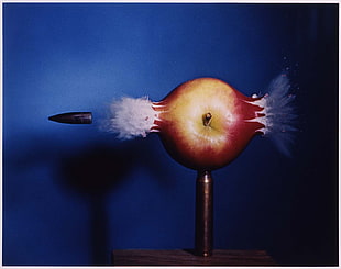 apple illustration, ammunition, apples HD wallpaper