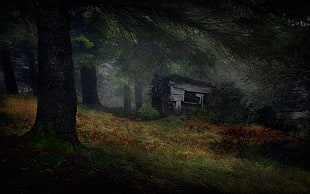 painting of structure and forest, landscape, nature, hut, abandoned HD wallpaper