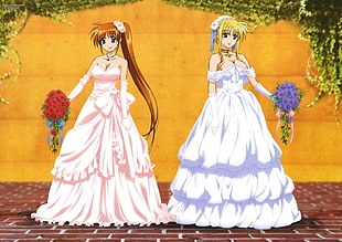 two female anime characters wearing dresses