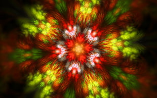 green, red, and yellow lighted decor