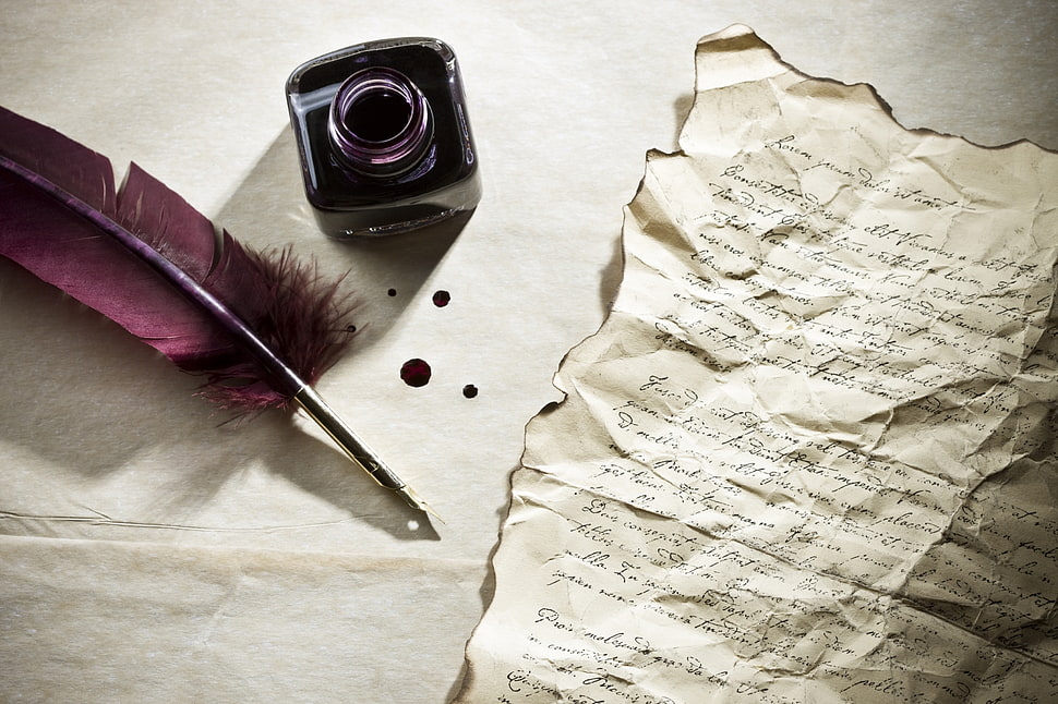 purple feathered quill pen with ink bottle and white paper page HD wallpaper