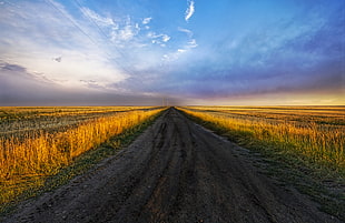 photography free road surrounded by grass HD wallpaper