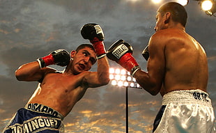 two boxers fighting at each other photo HD wallpaper