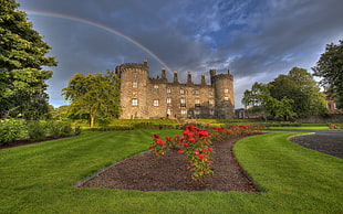 castle landmark, castle, rainbows, lawns, red flowers HD wallpaper