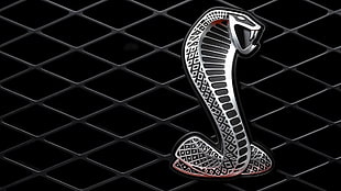 cobra emblem, car, Ford Mustang Shelby, logo, snake