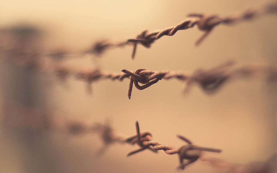 three gray steel wire photo HD wallpaper