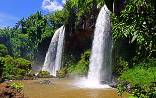 waterfalls and plants, jungle, waterfall, nature