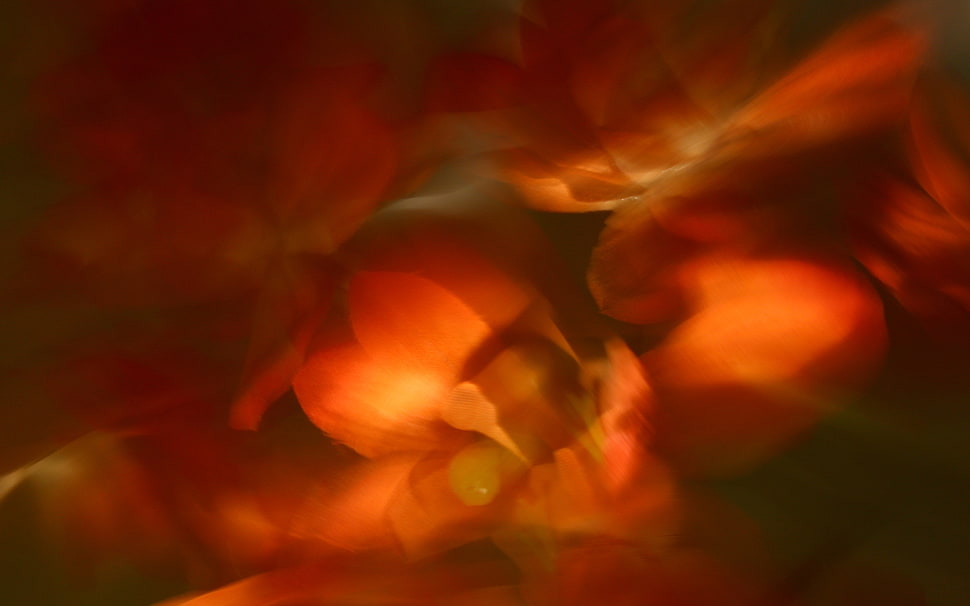 Light,  Fire,  Oiled,  Paint HD wallpaper