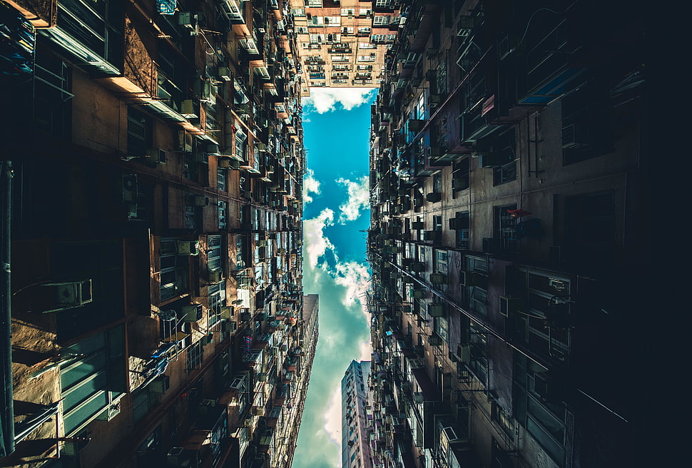 worm view photography of building HD wallpaper