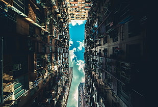 worm view photography of building HD wallpaper
