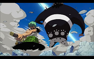 Roronoa Zoro, One Piece, anime, Roronoa Zoro