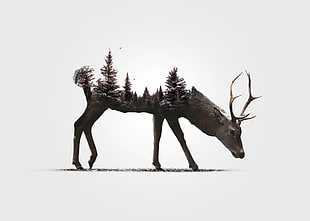 brown deer with mountain illustration
