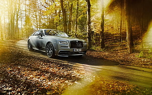 grey coupe on asphalt road in middle of forest