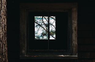 brown wood pole, Window, Branches, Wooden