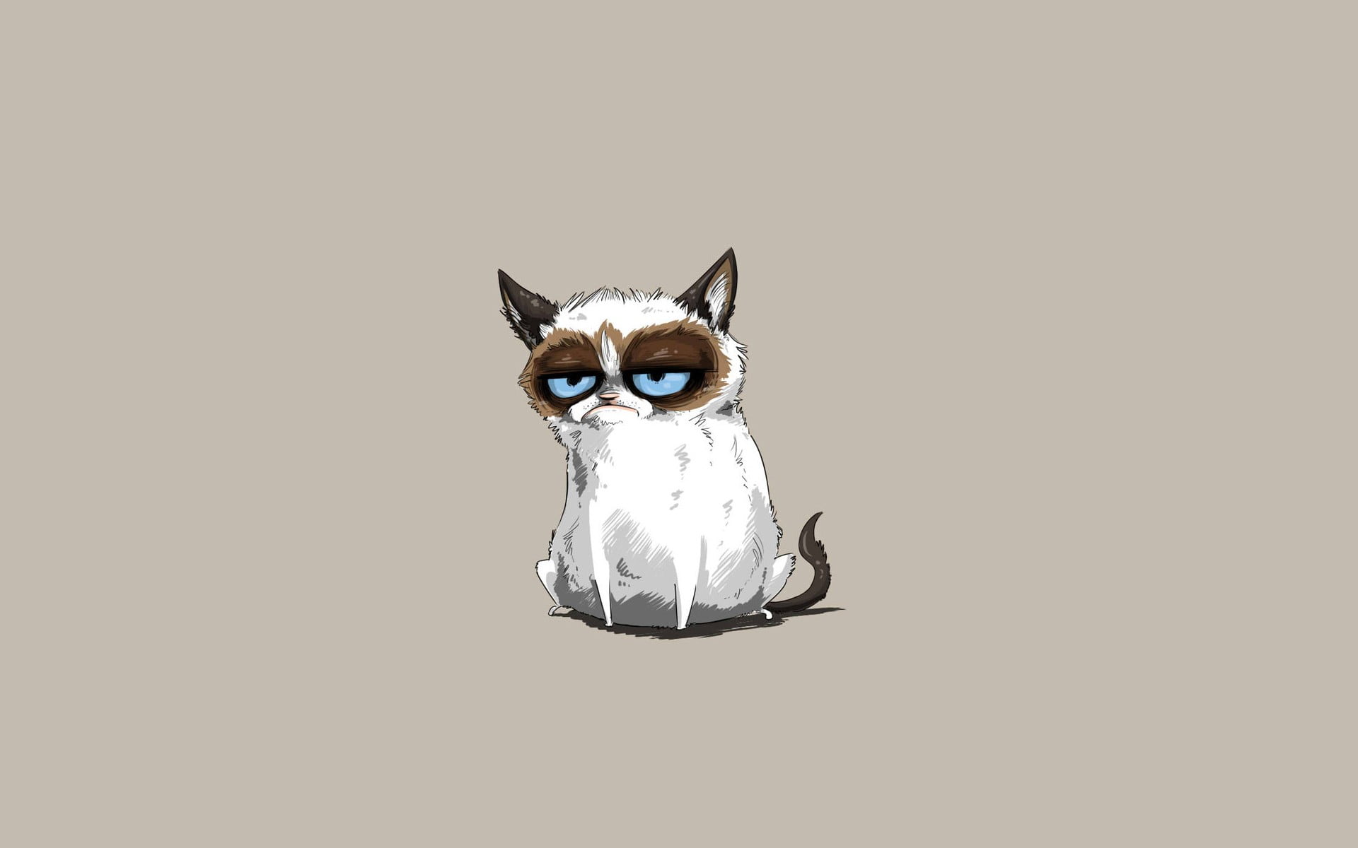 Grumpy Cat Clip Art Cat Minimalism Grumpy Cat Hd Wallpaper Images, Photos, Reviews