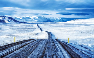 snow-capped road, nature, landscape, snow, road