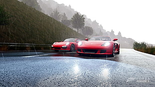 two red sports cars, Forza Horizon 2, Porsche Carrera GT, video games, red cars