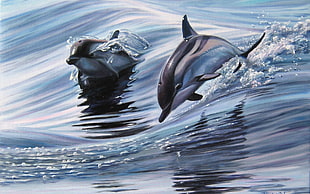 two gray dolphins illustration, dolphin, sea, painting, animals