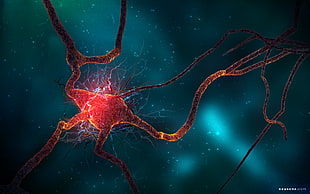 neurons, 3D, digital art