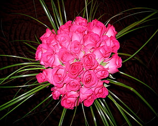 bouquet pink rose HD wallpaper