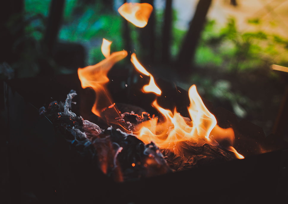 bonfire, macro, fire HD wallpaper