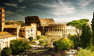 landscape photo of The Colosseum, Rome Italy HD wallpaper