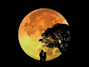 brown moon, lovers, Moon, trees, night