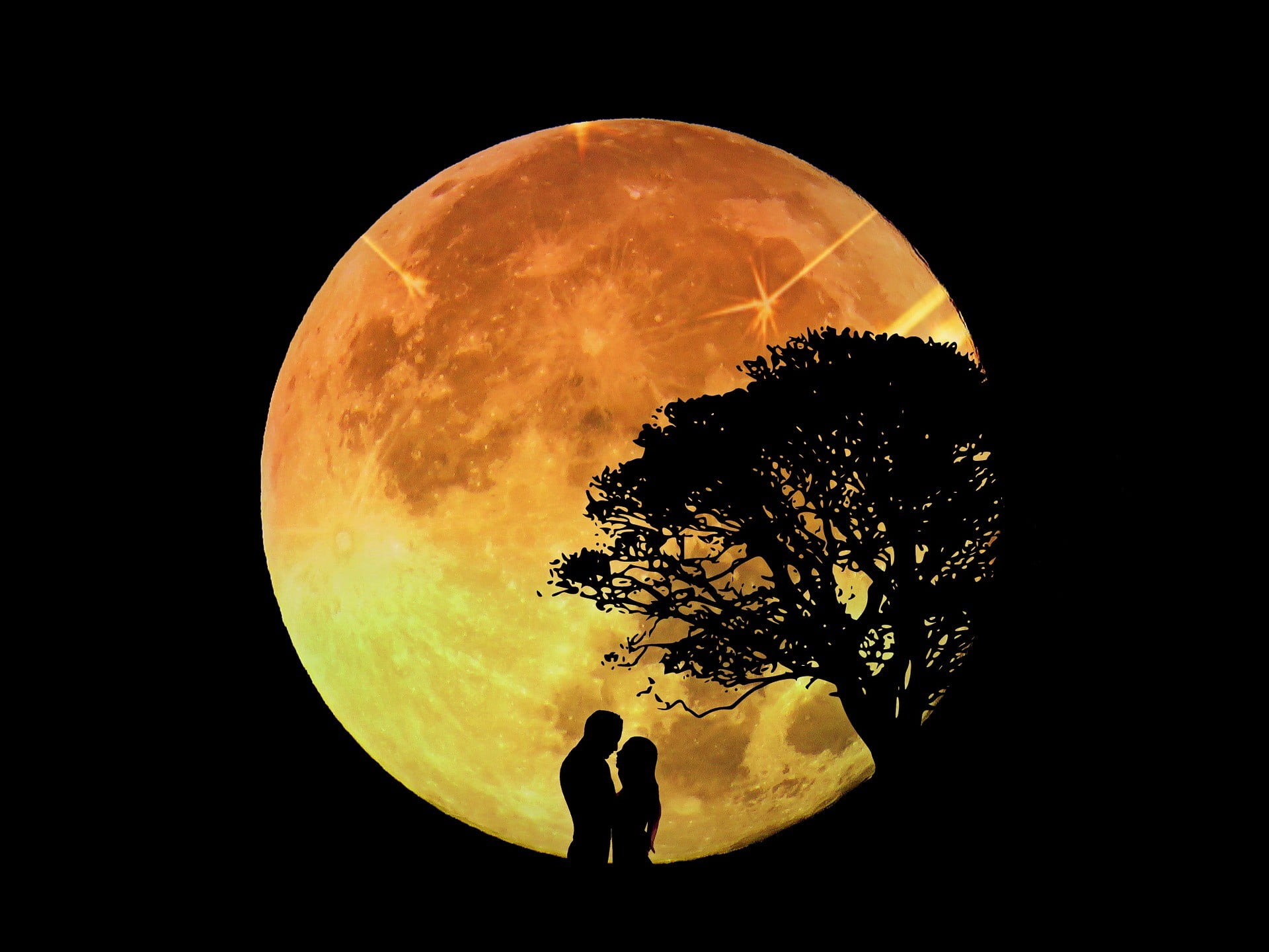 brown moon, lovers, Moon, trees, night