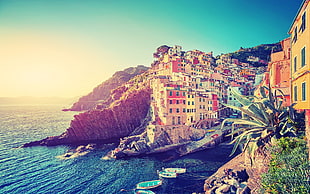 Cinque Terre, Italy HD wallpaper