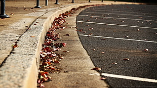 gray concrete road, closeup, leaves