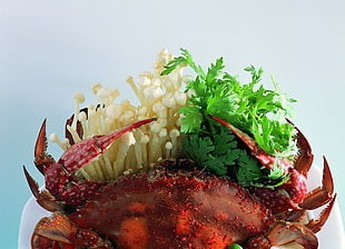 crab dish HD wallpaper