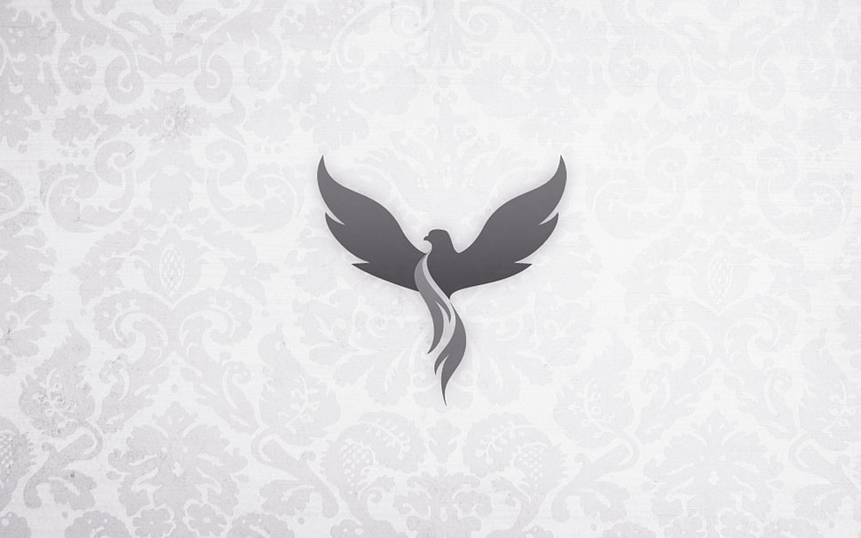 black eagle decor, birds, simple HD wallpaper