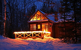 brown wooden house, house, winter, snow, lights
