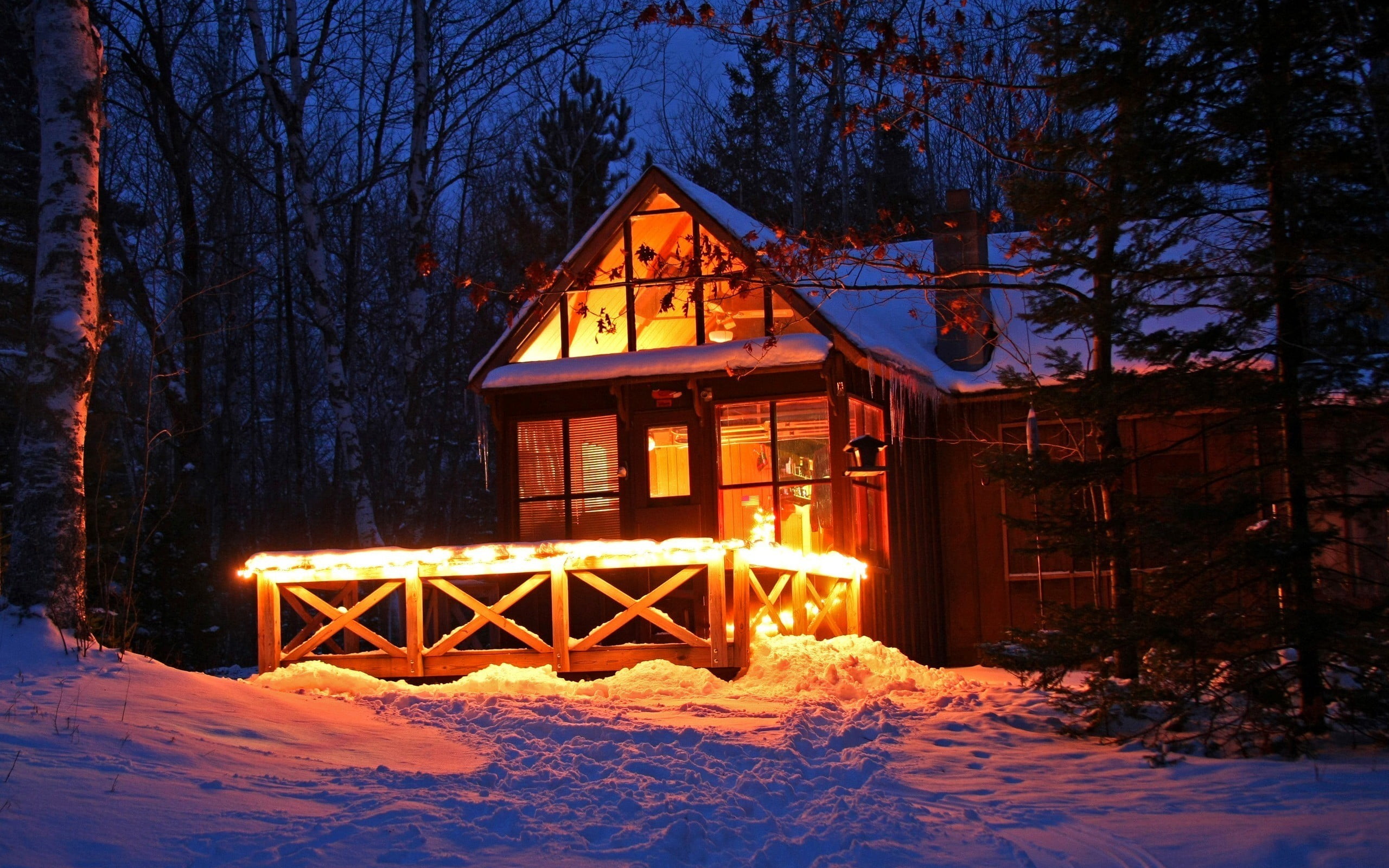 brown wooden house, house, winter, snow, lights HD wallpaper.