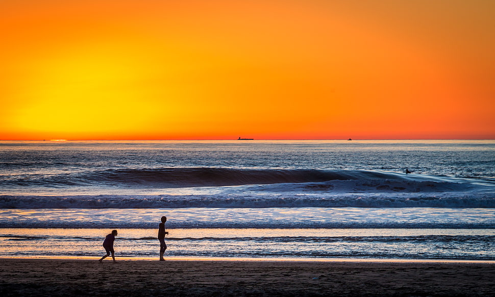 two persona walking in seashore during golden hour HD wallpaper