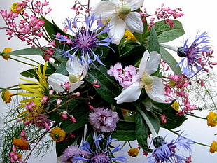 variety of flower bouquet