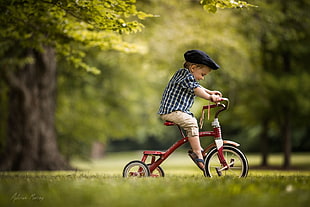 red Radio Flyer trike, nature, bicycle, children