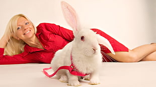 woman leaning on wall wearing red mini dress in front of albino rabbit HD wallpaper
