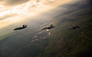 three black fighter planes, Lockheed Martin F-35 Lightning II, McDonnell Douglas F/A-18 Hornet, military aircraft, aircraft