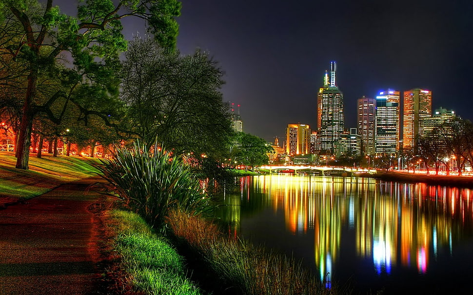 green tree leaf with skyscraper tower photo HD wallpaper