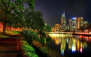 green tree leaf with skyscraper tower photo
