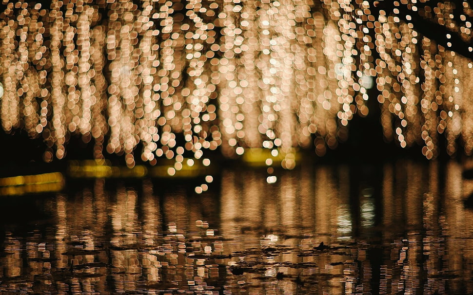 body of water, bokeh, water, reflection, blurred HD wallpaper