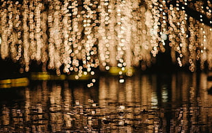 body of water, bokeh, water, reflection, blurred