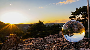 clear glass ball near trees during sunset