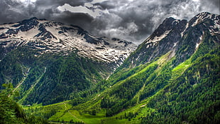 landscape photography of mountain, nature, landscape, forest, snowy peak HD wallpaper