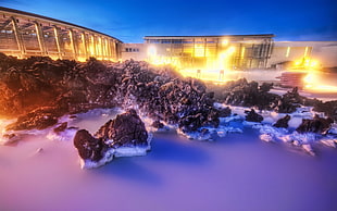 snow covered lake with black stone in front of glass wall building