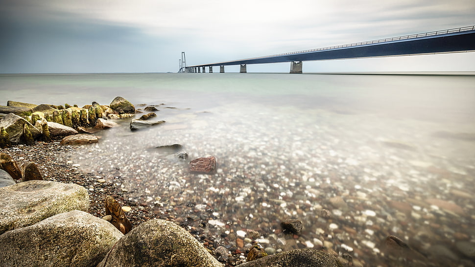 seashore with bridge beside on daytime HD wallpaper