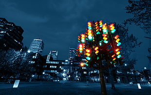 black traffic light, city, traffic lights, night, colorful