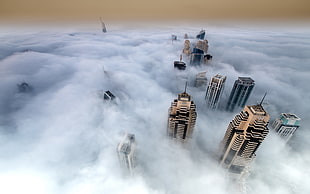 high-rise buildings, city HD wallpaper