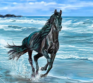 black horse illustration, horse, artwork